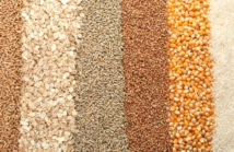 Rewolucja w przetwarzaniu ziaren: Jak sortownik koloru zmienia branżę