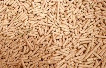 Cena pelletu premium w 2026 roku – ile kosztuje pellet A1 i dlaczego tańszy opał może Cię drogo kosztować?