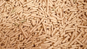 Cena pelletu premium w 2026 roku – ile kosztuje pellet A1 i dlaczego tańszy opał może Cię drogo kosztować?