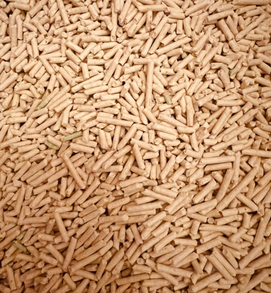 Cena pelletu premium w 2026 roku – ile kosztuje pellet A1 i dlaczego tańszy opał może Cię drogo kosztować?